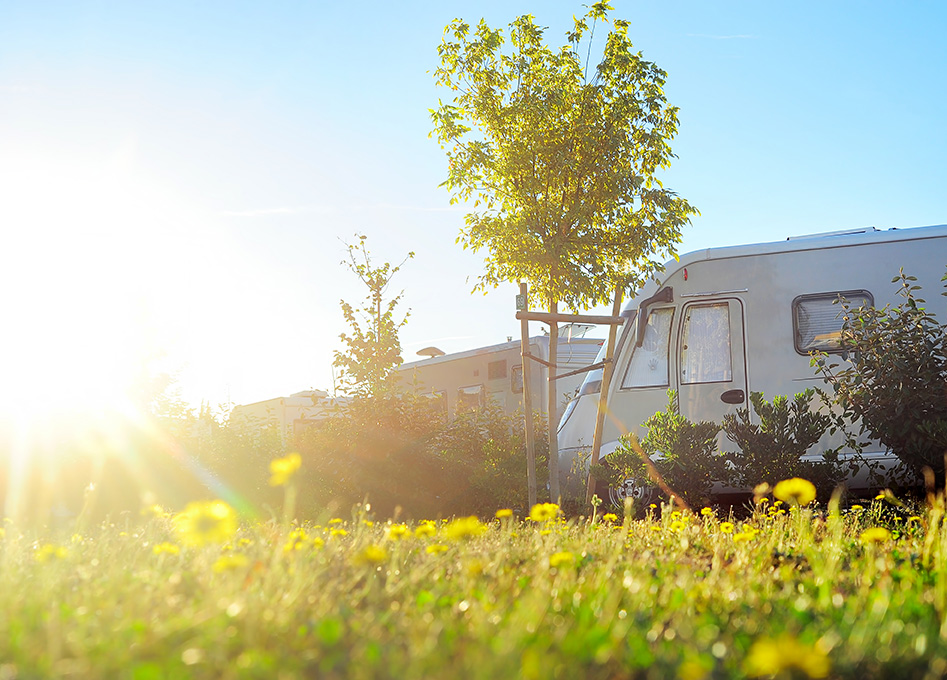 5-Guidelines-for-Picking-Your-RV-Camp-Sites-Northlake Village-RV-Resort-Park-Roanoke-Dallas-Fort-Worth-Texas-Camping